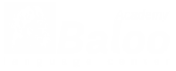 The Baloo Academy